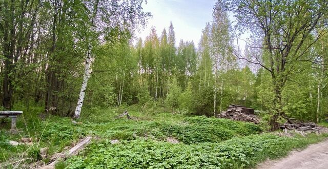 земля Дорога жизни, 2 км, Всеволожское городское поселение, Санкт-Петербург фото