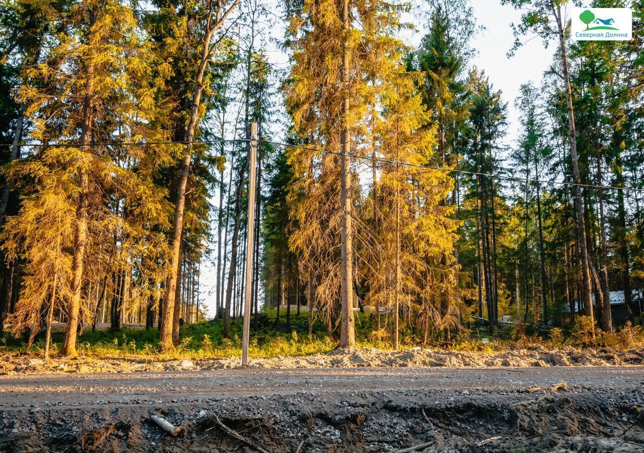 земля р-н Всеволожский 22 км, Всеволожский р-н, Токсовское городское поселение, коттеджный пос. Экофорест, Лесколово, Ленинградское шоссе фото 2