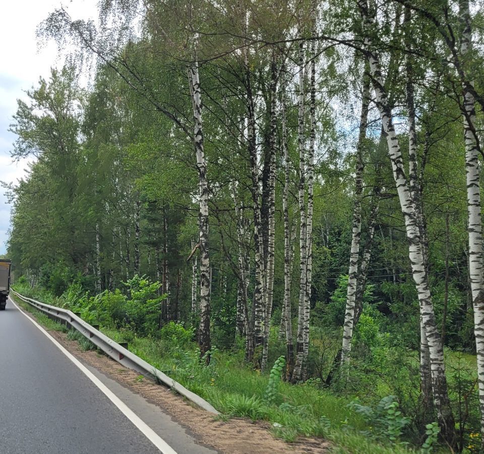 земля городской округ Дмитровский д Ивашево 57 км, Дмитров, Дмитровское шоссе фото 11