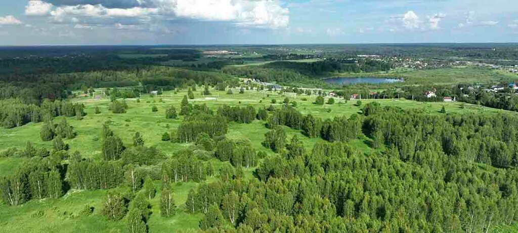 земля городской округ Дмитровский территориальное управление №6 фото 3