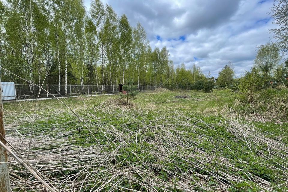 земля городской округ Орехово-Зуевский деревня Устьяново фото 6