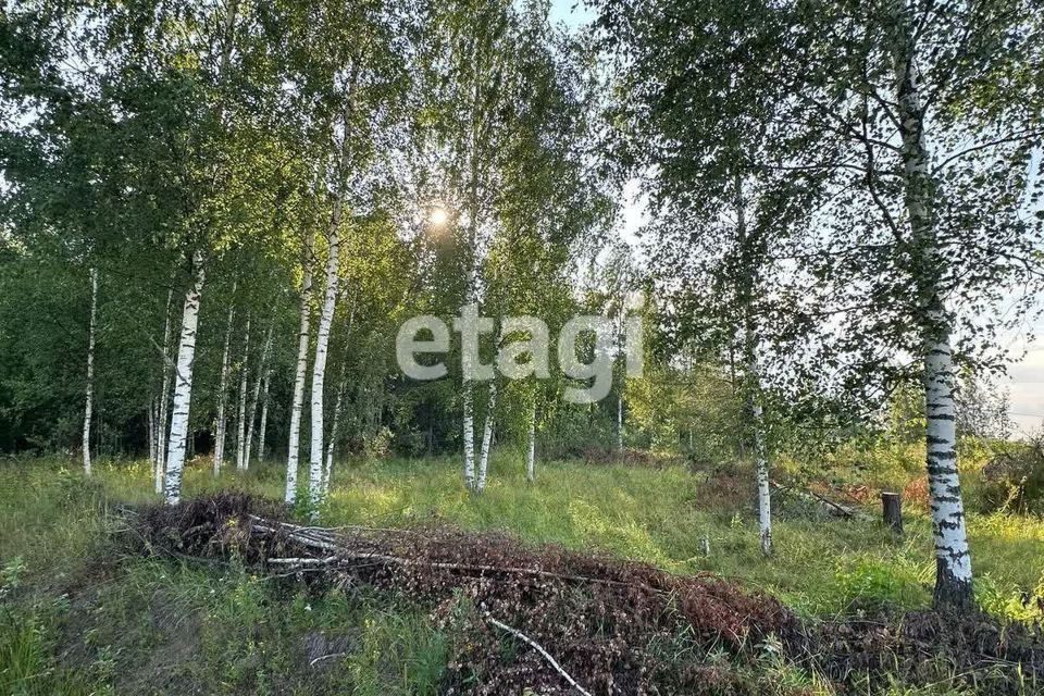 земля г Санкт-Петербург пр-кт Невский 1 Центральный, 71/1 / улица Марата фото 1