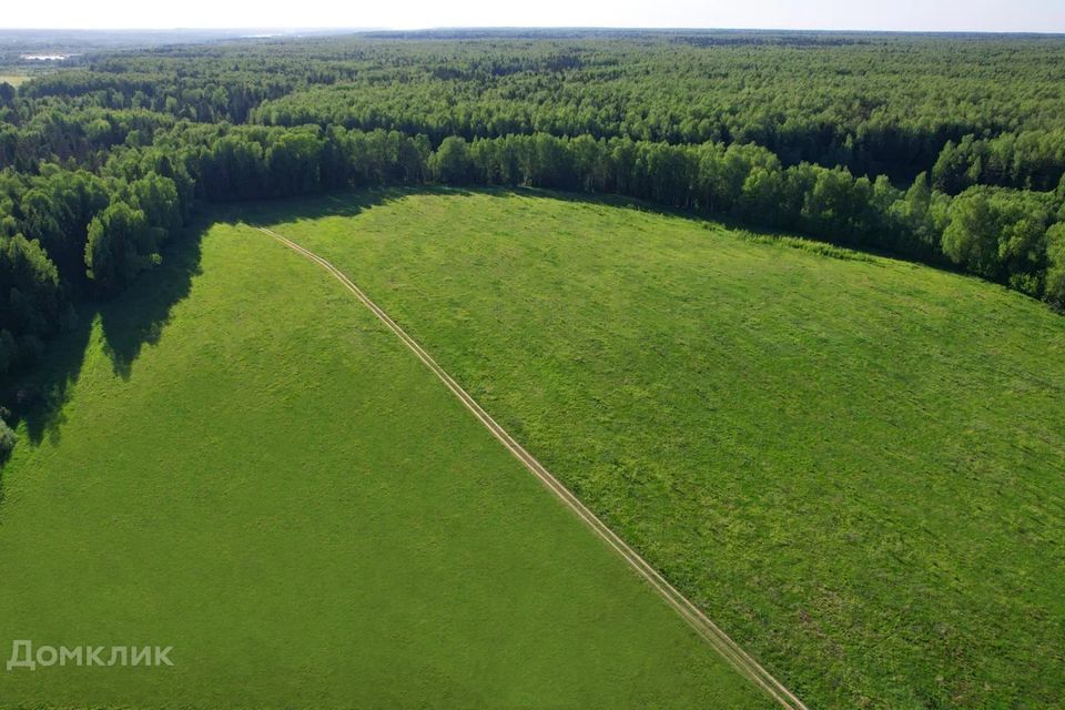 земля городской округ Пушкинский деревня Михалёво фото 1