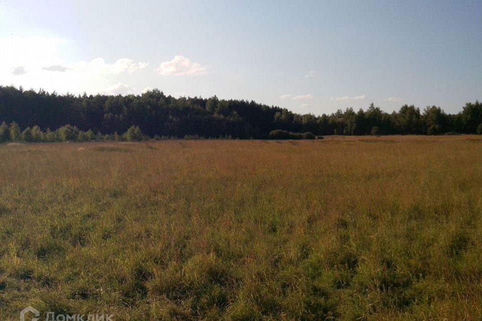 земля городской округ Раменский фото 1