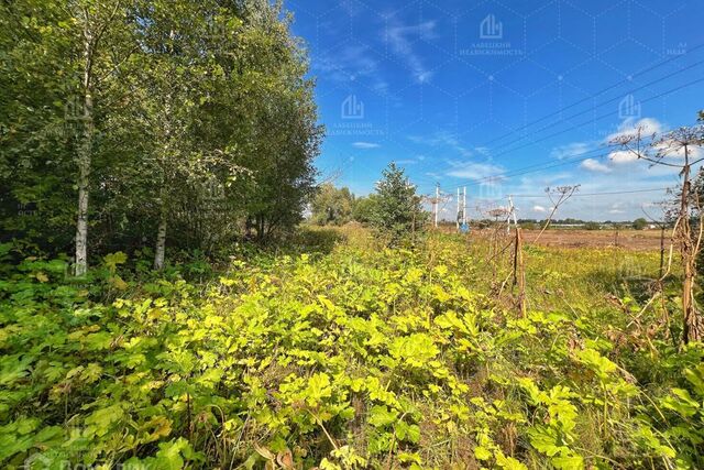 земля СНТ Дружба, Раменский городской округ фото