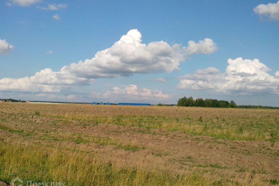 земля городской округ Раменский фото 3