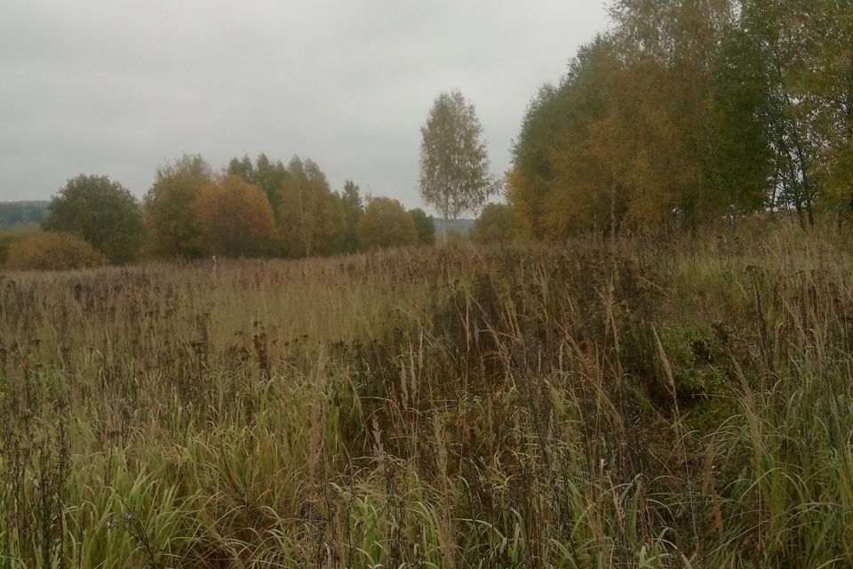 земля городской округ Солнечногорск деревня Вертлино фото 3