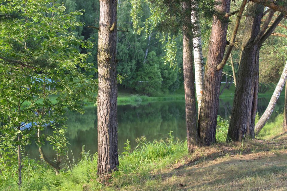 земля г Домодедово СНТ Полянка, городской округ Домодедово фото 5