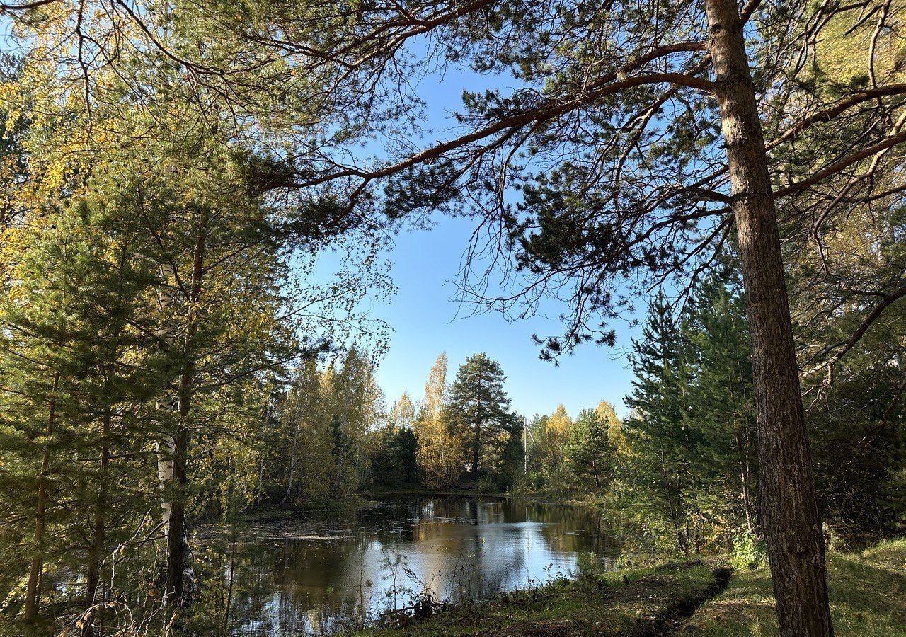 земля г Екатеринбург р-н Чкаловский снт Шиловский кордон фото 7