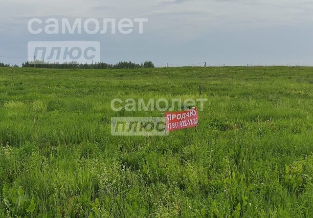 Сокуровское сельское поселение, Казань фото