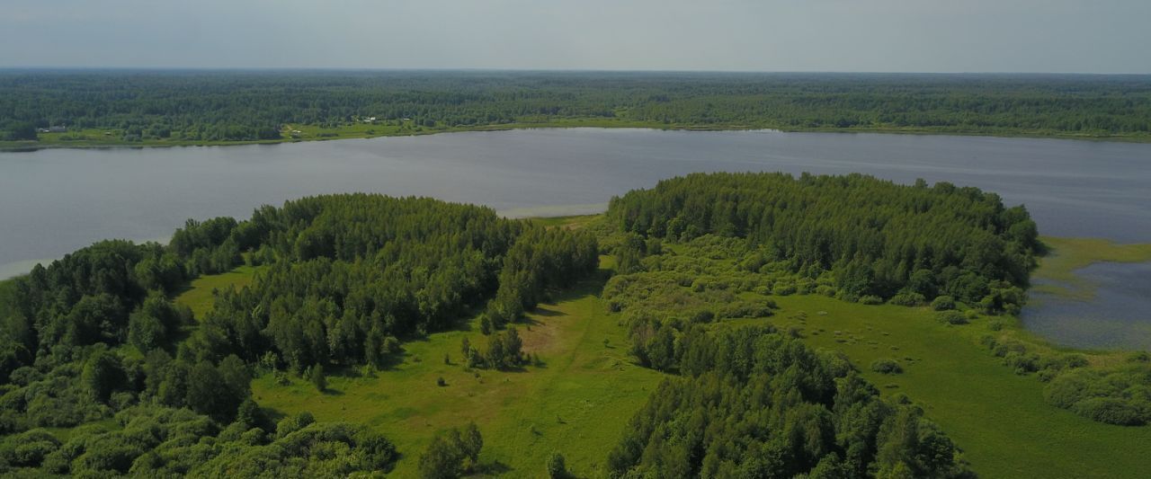 офис р-н Западнодвинский г Западная Двина д Вережуни фото 4