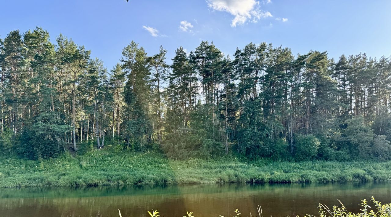 земля городской округ Мытищи д Большая Черная ул Центральная Хлебниково фото 17