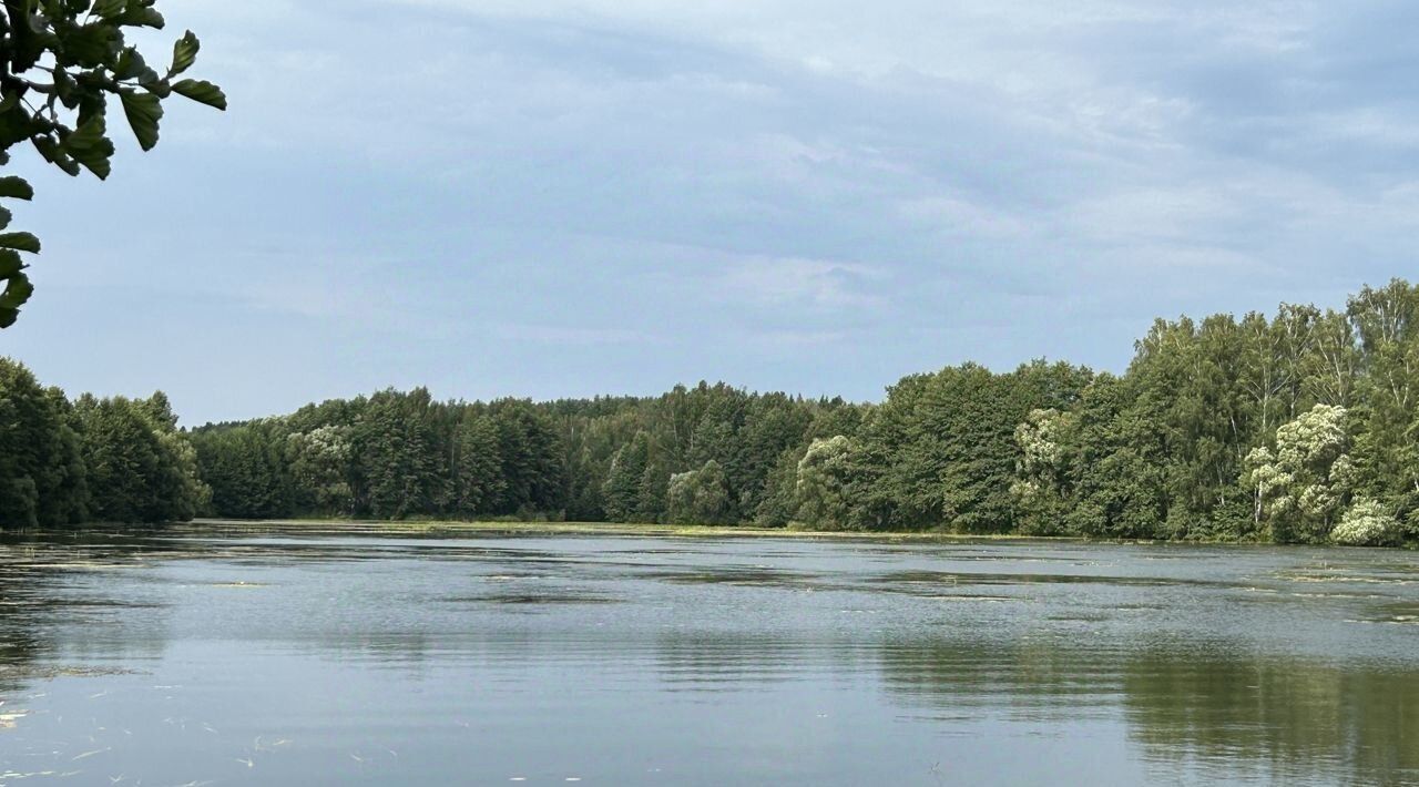 дом городской округ Чехов д Оксино тер ДНТ Соколиная гора ул. Васильковая фото 1