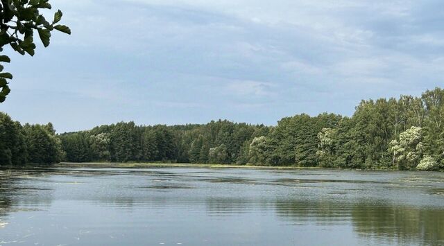 тер ДНТ Соколиная гора ул. Васильковая фото