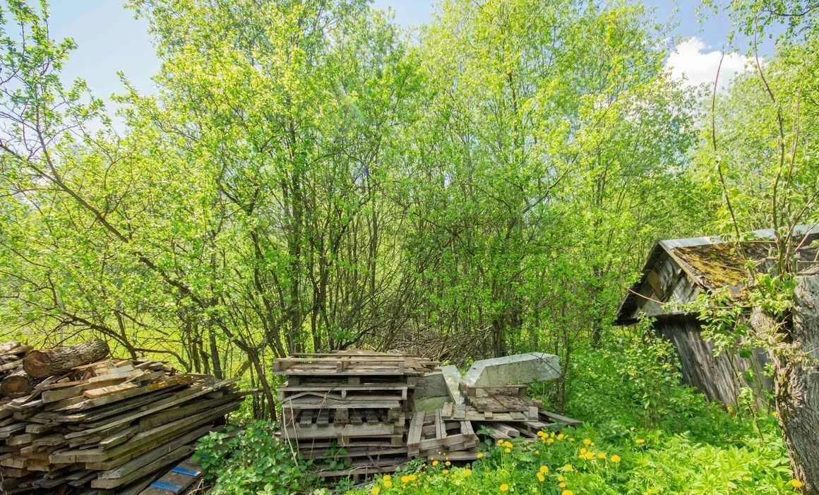 земля городской округ Одинцовский п Часцы 9760 км, 4, Кубинка, Можайское шоссе фото 5