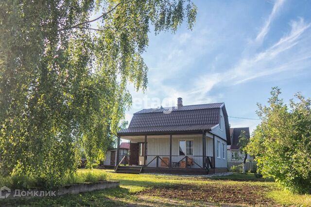 Сосновоборский городской округ, СНТ Лотос фото