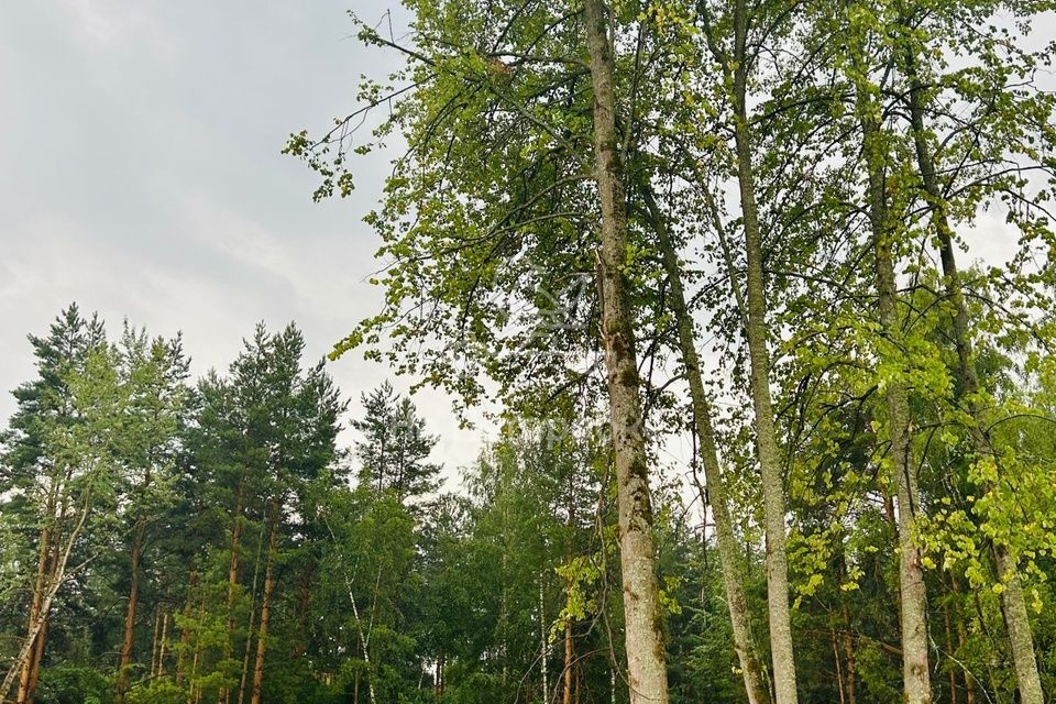 дом городской округ Раменский деревня Копнино фото 1