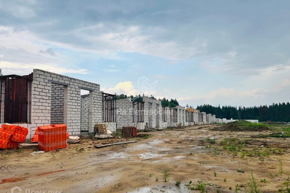 дом городской округ Раменский деревня Копнино фото 1