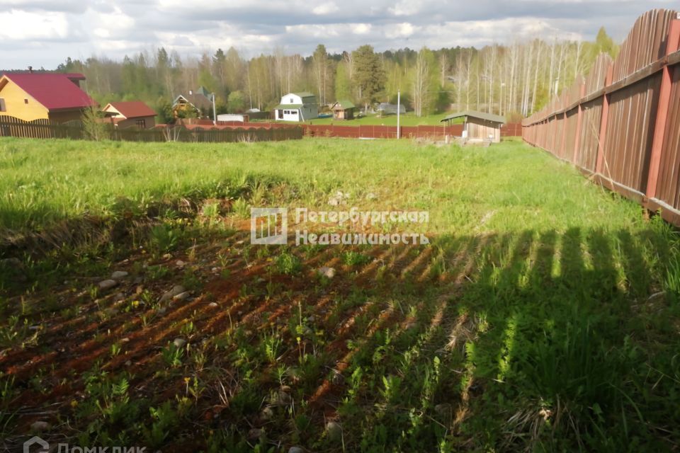 земля р-н Кировский ЗАО Мгинское фото 3