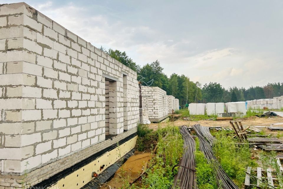 дом городской округ Раменский деревня Копнино фото 2