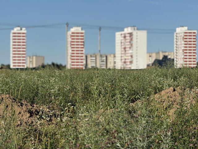 ул 1-я Новопролетарская фото