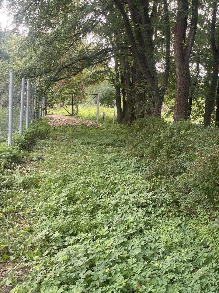 земля городской округ Дмитровский п Новосиньково Карпово, 15 фото 2