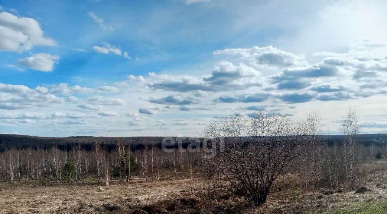 земля р-н Богородский д Инютино фото 2