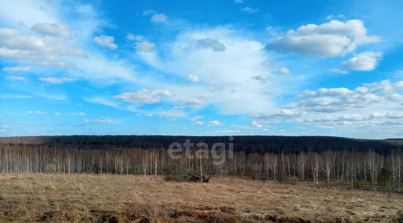 земля р-н Богородский д Инютино фото 4