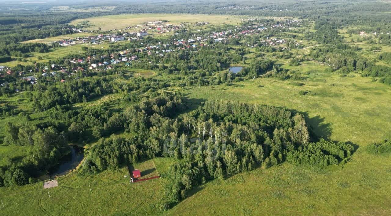 земля р-н Богородский д Инютино фото 4