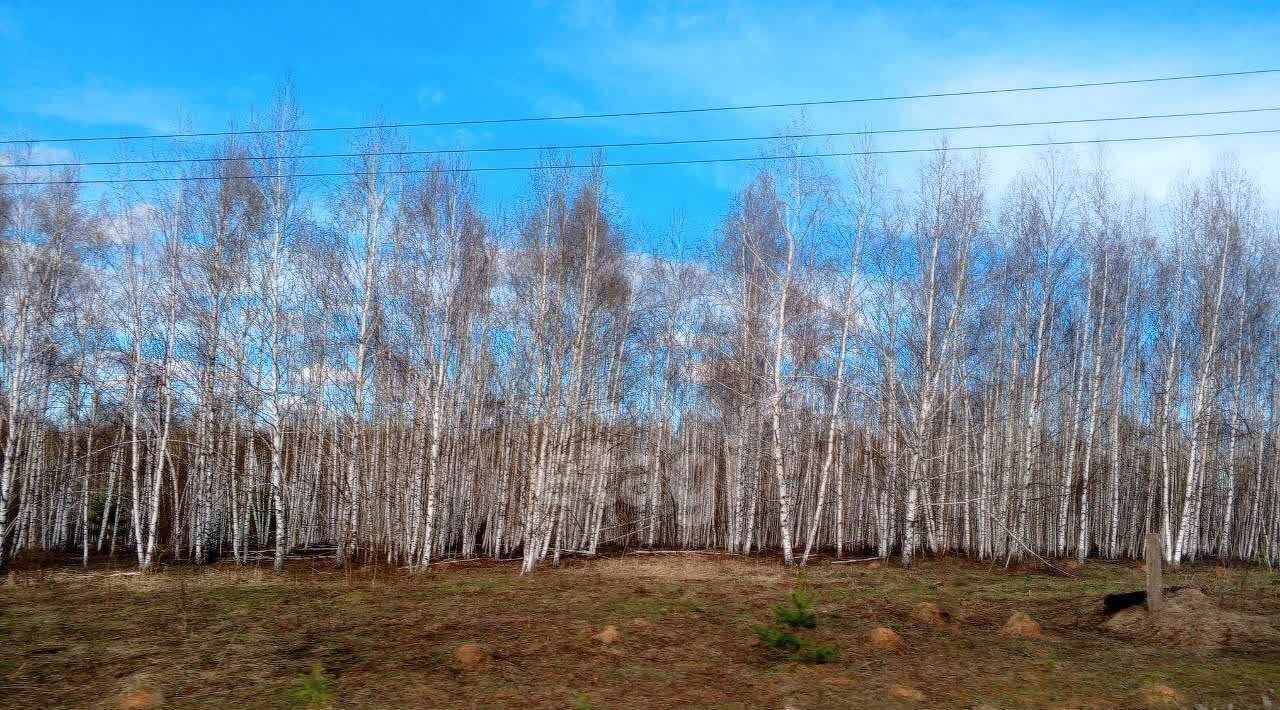 земля р-н Богородский д Инютино фото 4