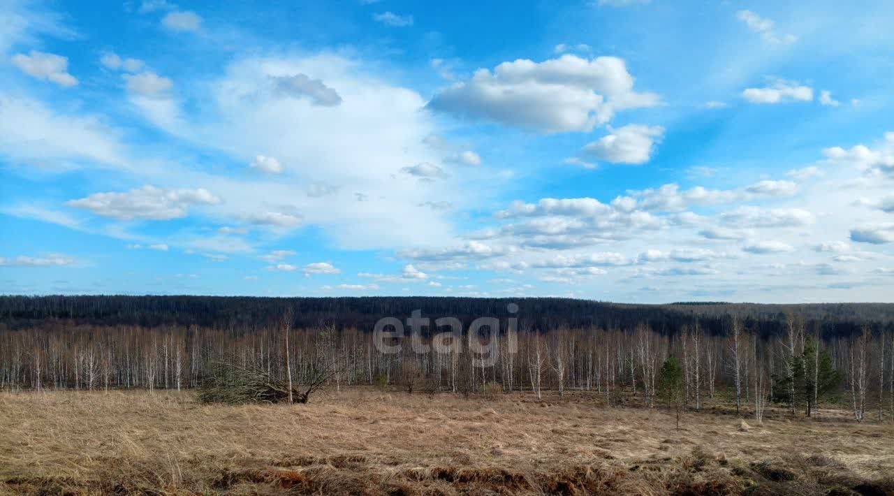 земля р-н Богородский д Инютино фото 4