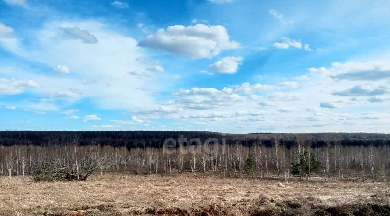 земля р-н Богородский д Инютино фото 2