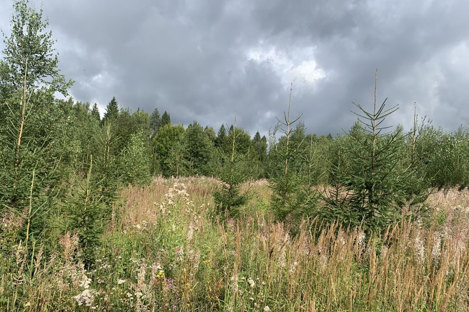 земля городской округ Дмитровский фото 9