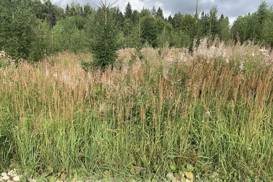 земля городской округ Дмитровский фото 10