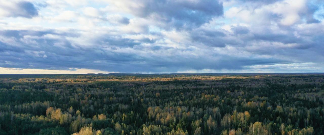 земля р-н Селижаровский д Лыткино Оковецкое сельское поселение фото 1