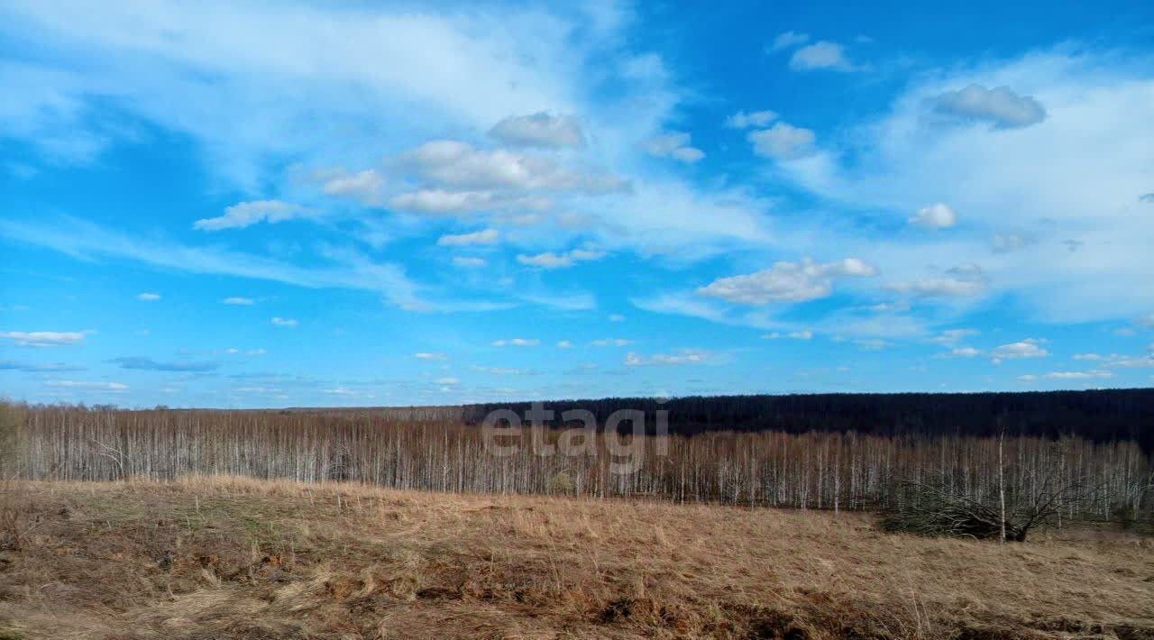 земля р-н Богородский д Инютино фото 9