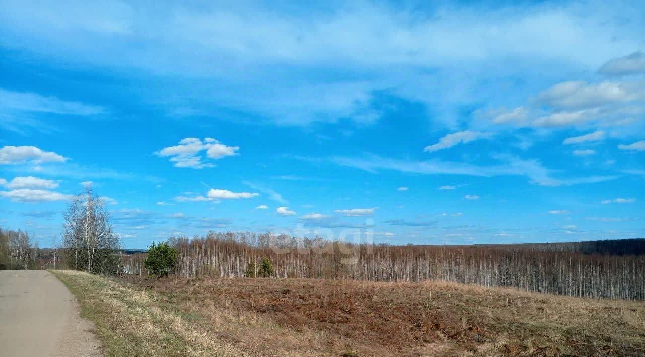 земля р-н Богородский д Инютино фото 10