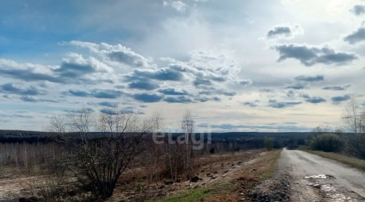 земля р-н Богородский д Инютино фото 11