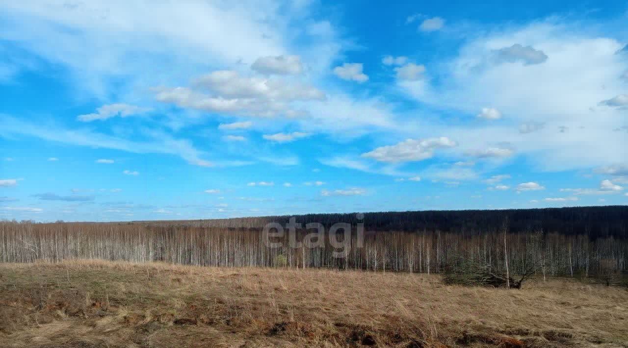 земля р-н Богородский д Инютино фото 15