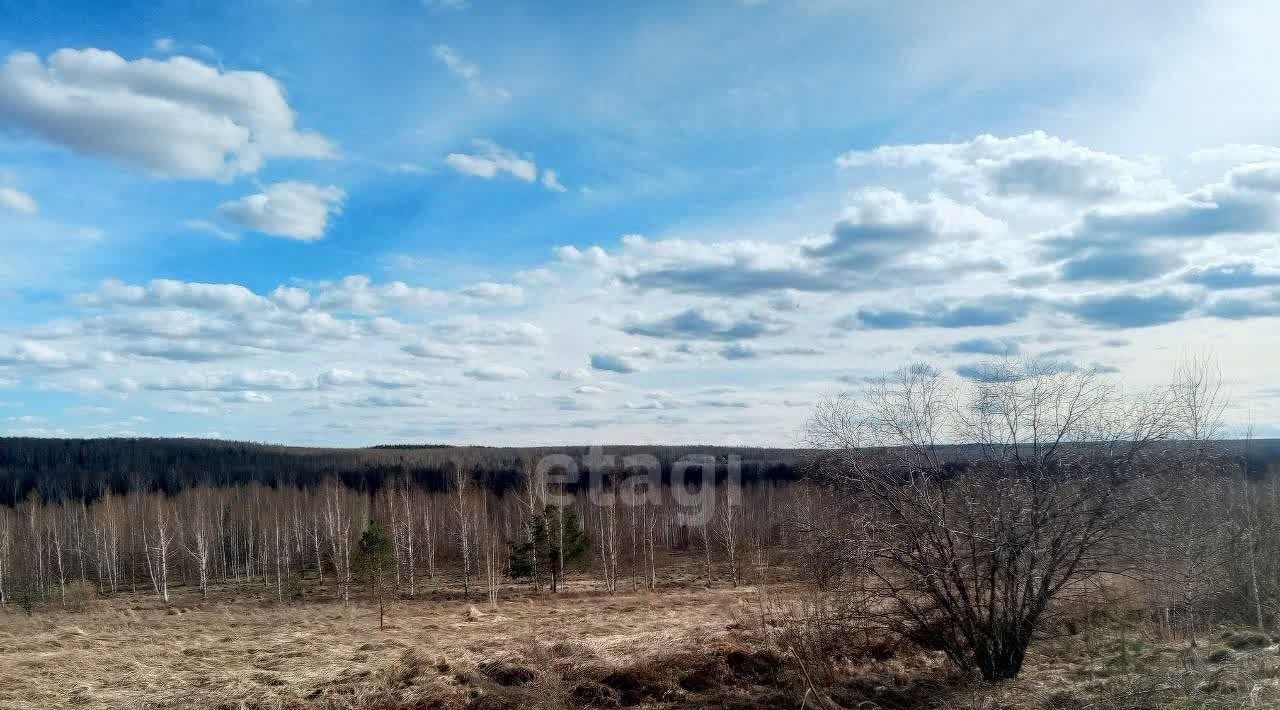 земля р-н Богородский д Инютино фото 12