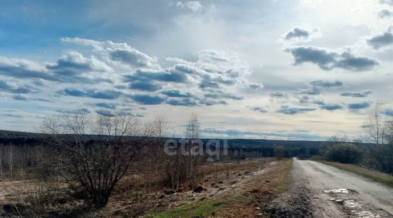 земля р-н Богородский д Инютино фото 13