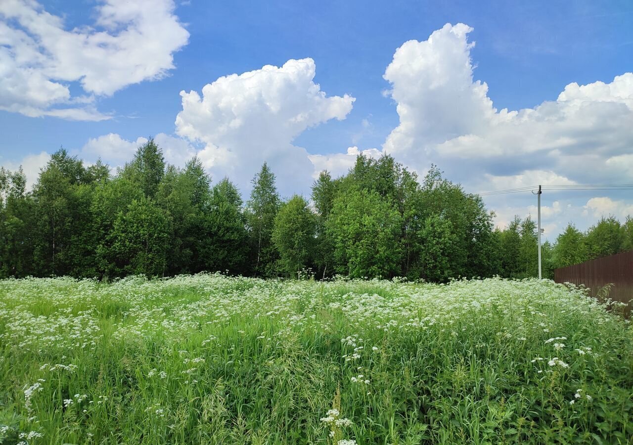 земля городской округ Мытищи д Фелисово 18 км, Марфино, Алтуфьевское шоссе фото 10