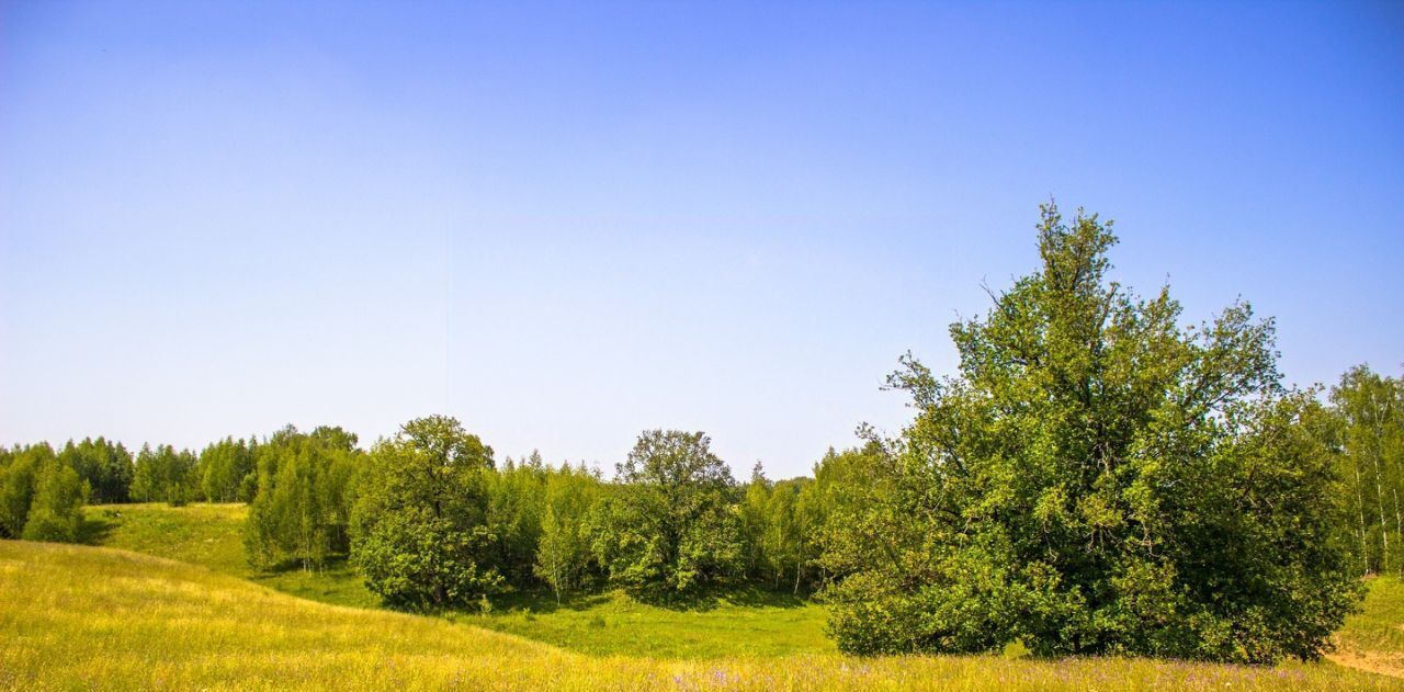 земля р-н Зеленодольский д Красный Яр Айшинское с/пос фото 9