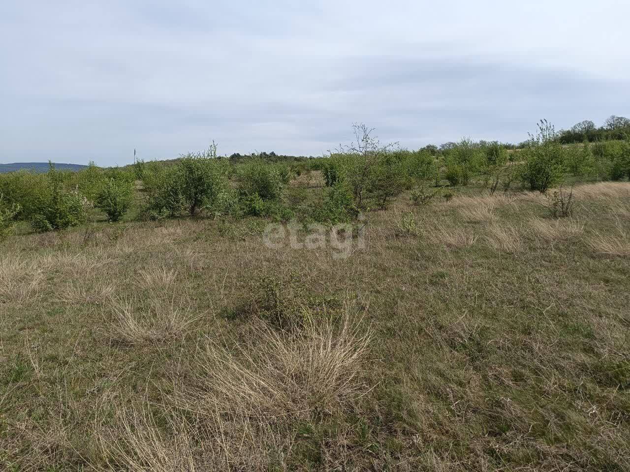 земля р-н Симферопольский с Клиновка Пионерская фото 8