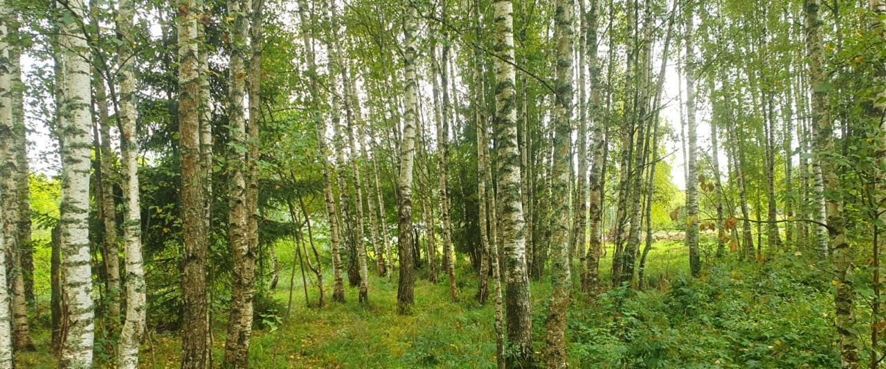 земля городской округ Солнечногорск д Шахматово снт Орлово фото 2