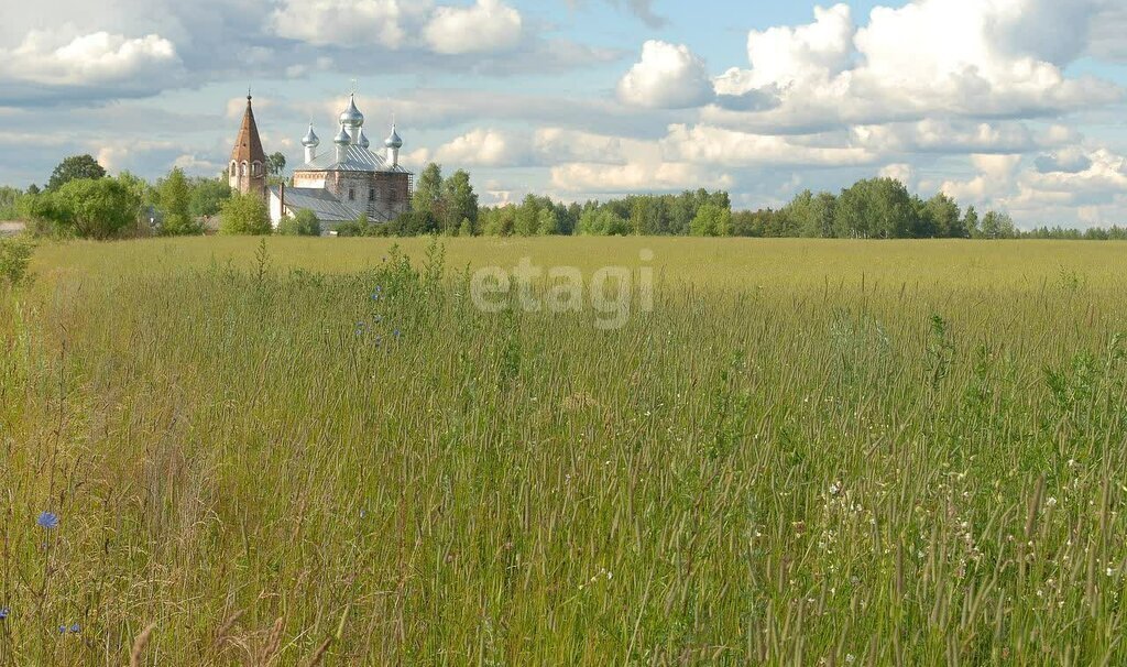 земля р-н Ковровский п Гигант муниципальное образование Малыгинское фото 2