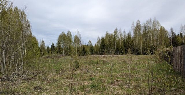 д Елань Алапаевское, муниципальное образование, Верхняя Синячиха фото