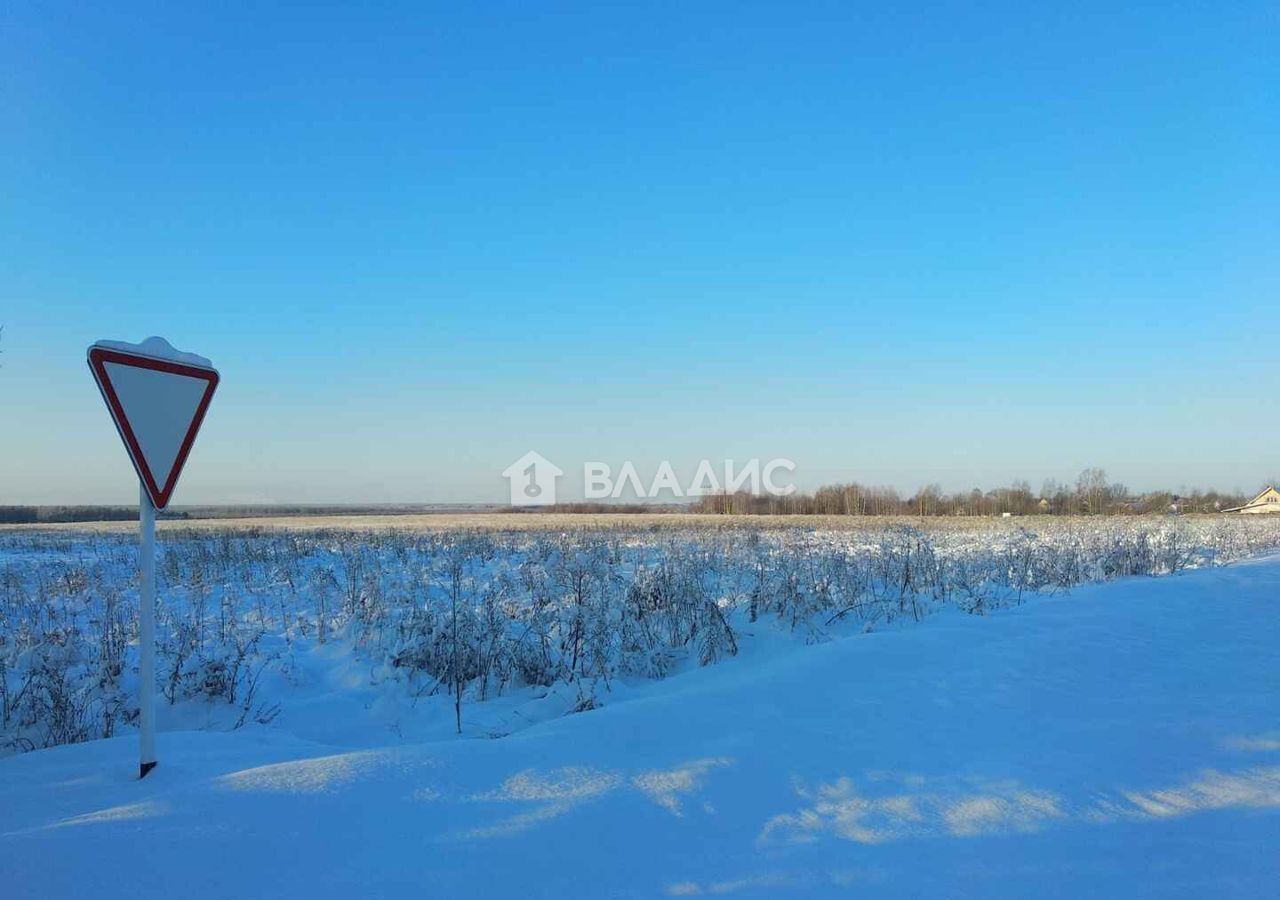 земля р-н Камешковский с Лаптево муниципальное образование Второвское, Владимир фото 12