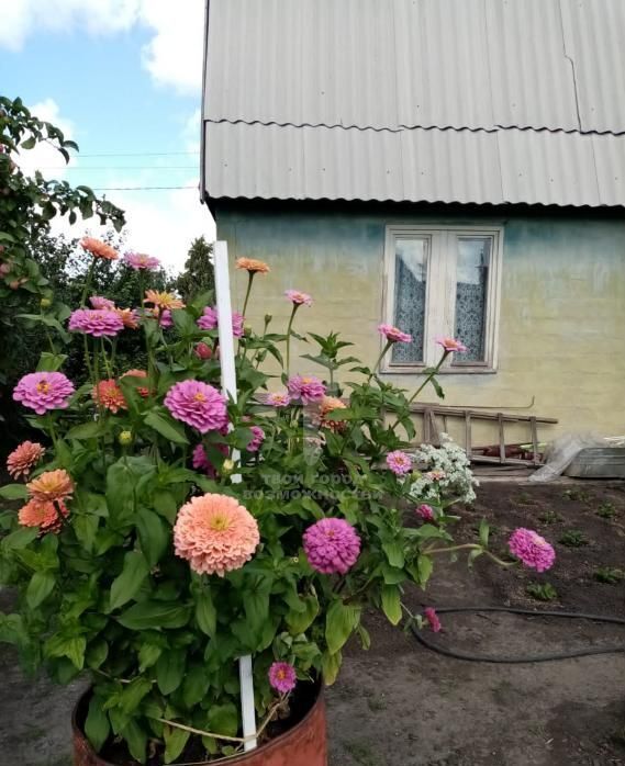 дом г Омск р-н Октябрьский территория СОСН Электромера фото 3