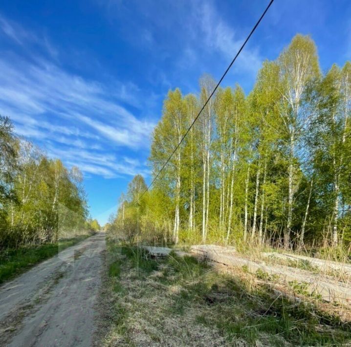 земля г Тюмень р-н Центральный снт Лаванда ул. 5-я, 11 фото 1